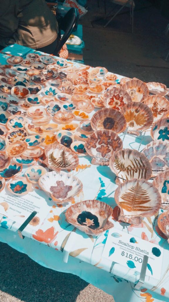 Seashell Art